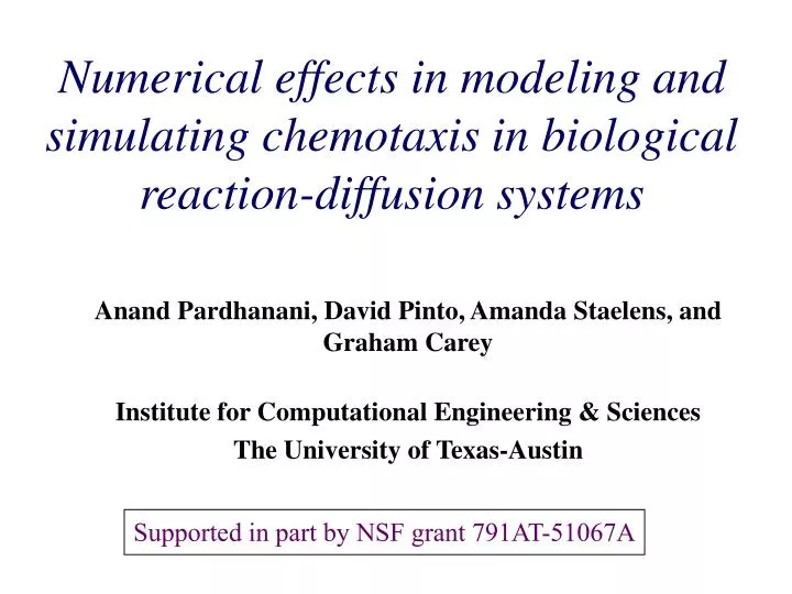 numerical effects in modeling and simulating chemotaxis in biological reaction diffusion systems