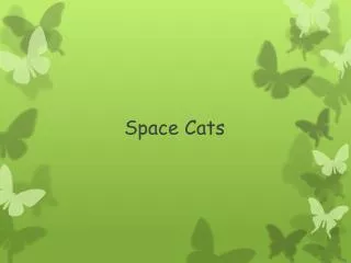 Space Cats