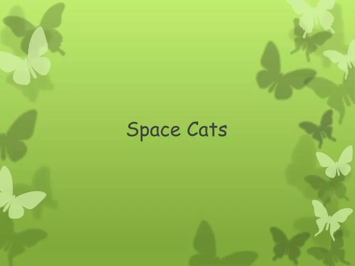 space cats