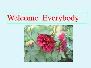 Welcome Everybody