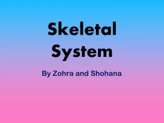 Skeletal System