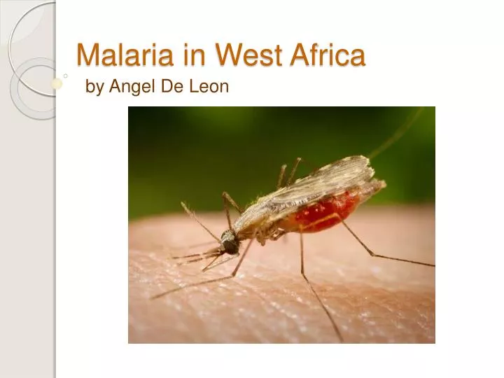 malaria in west africa