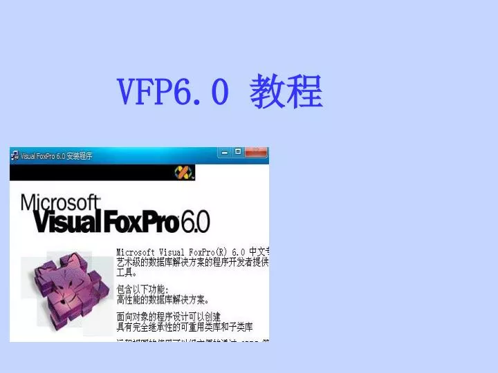 vfp6 0