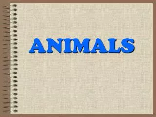 animals