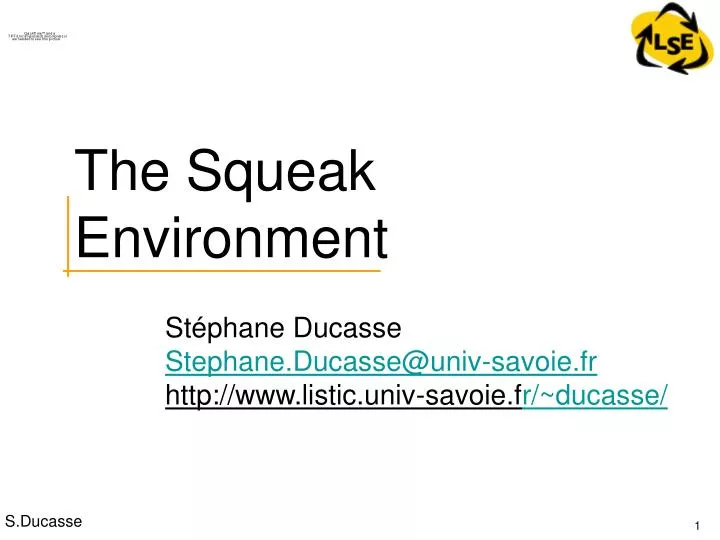 the squeak environment