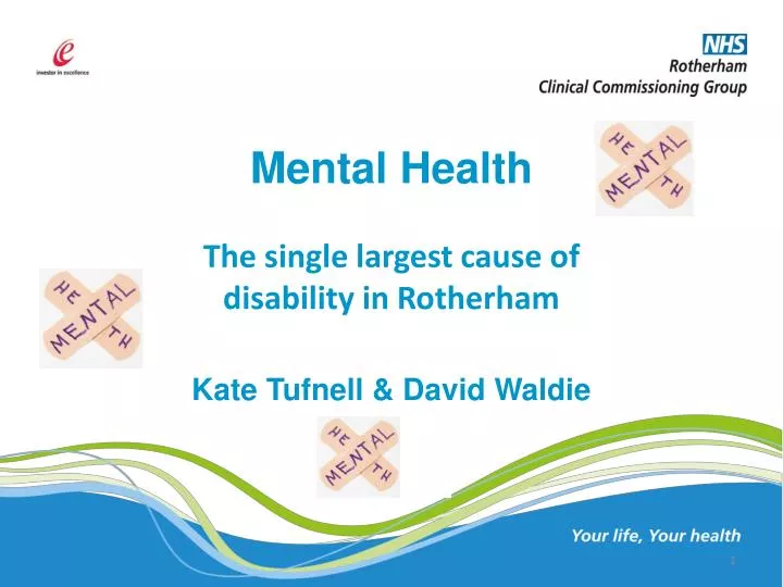 mental health the single largest cause of disability in rotherham kate tufnell david waldie