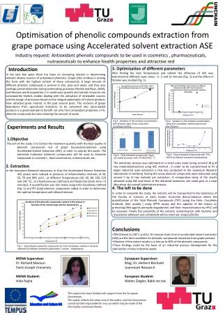 MENA Supervisor: Pr. Richard Maroun Saint-Joseph University MENA Student: Hiba Rajha