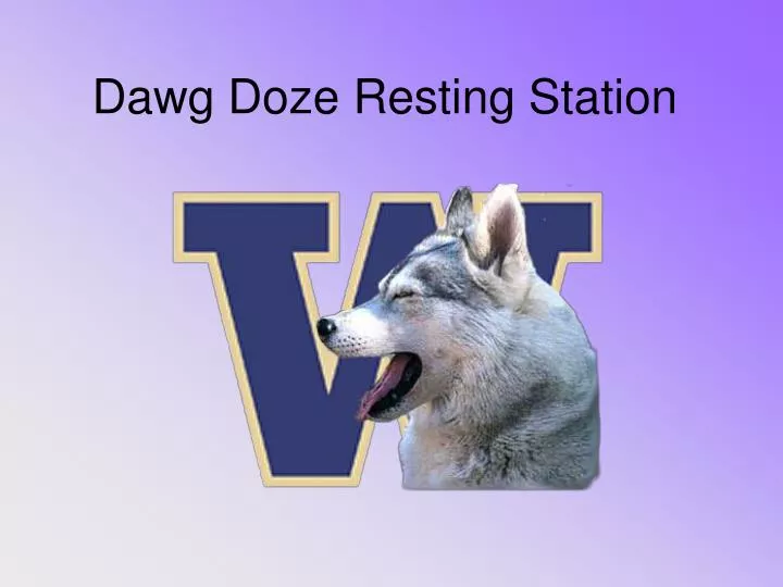 dawg doze resting station