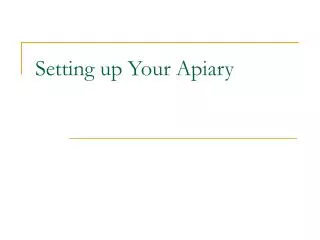 Setting up Your Apiary