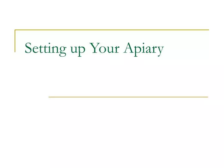 setting up your apiary