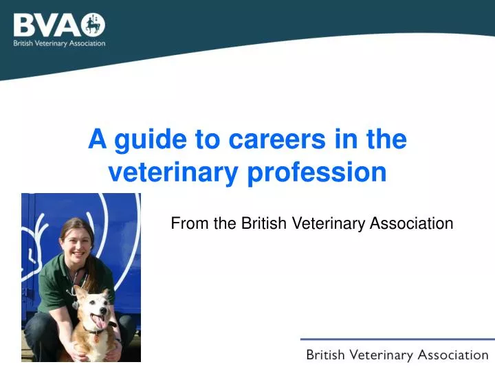 a guide to careers in the veterinary profession