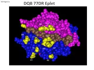 DQB 77DR Eplet