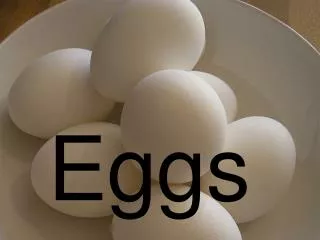 Eggs