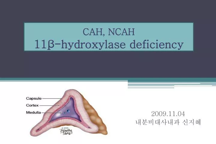 cah ncah 11 hydroxylase deficiency