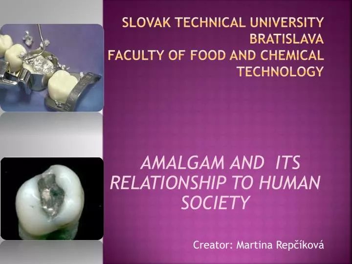 slovak technical university bratislava faculty of food and chemical technology