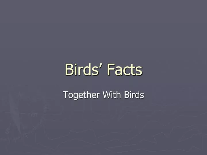 birds facts
