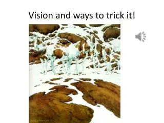 Vision and ways to trick it!