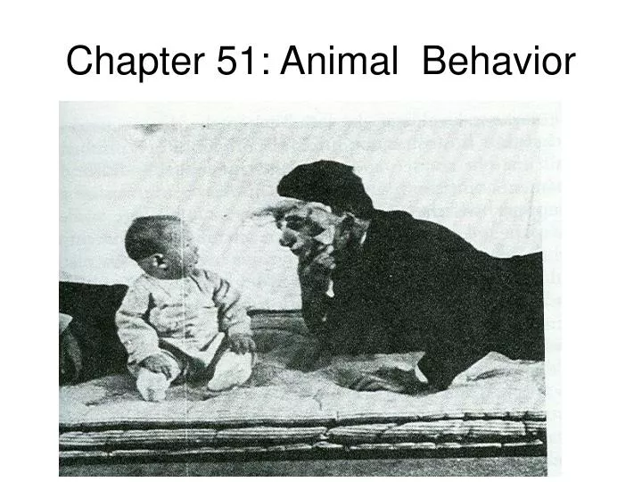 chapter 51 animal behavior