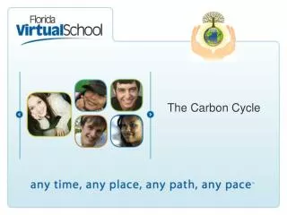 The Carbon Cycle