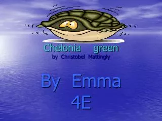 Chelonia green by Christobel Mattingly