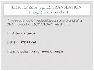 BR for 2/22 on pg. 12: TRANSLATION Use pg. 211 codon chart