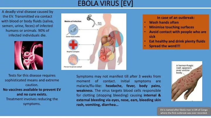 ebola virus ev