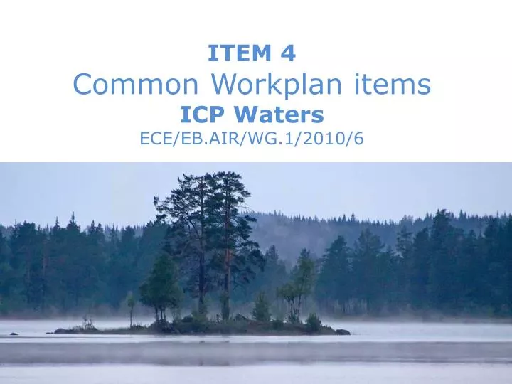 item 4 common workplan items icp waters ece eb air wg 1 2010 6