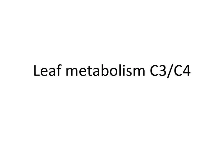 leaf metabolism c3 c4