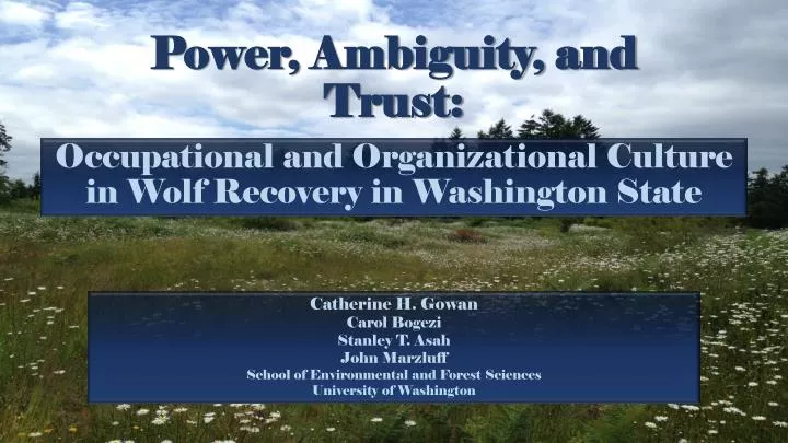 power ambiguity and trust