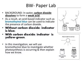 BW- Paper Lab