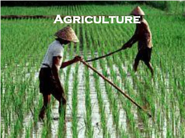 agriculture