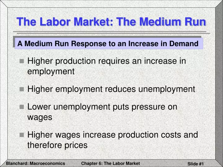 the labor market the medium run