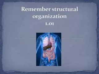 Remember structural organization 1.01
