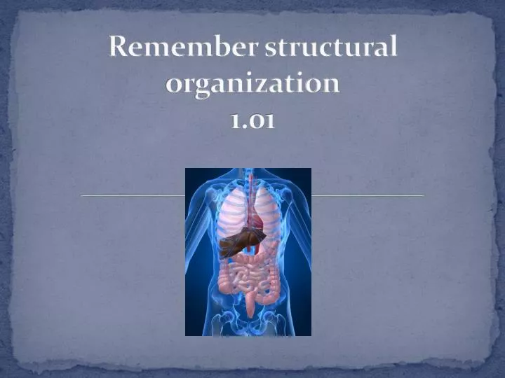 remember structural organization 1 01