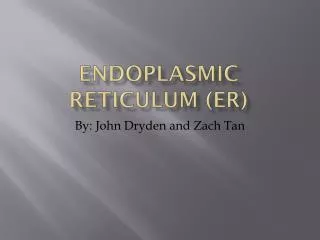 Endoplasmic Reticulum (ER)