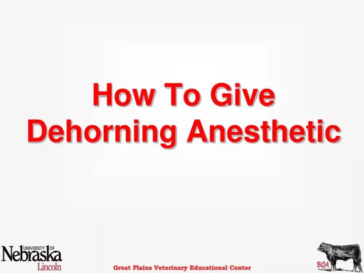 how to give dehorning anesthetic
