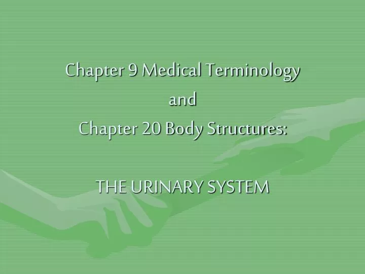 chapter 9 medical terminology and chapter 20 body structures the urinary system