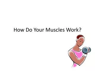 How Do Your Muscles Work?