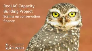 RedLAC Capacity Building Project Scaling up conservation finance