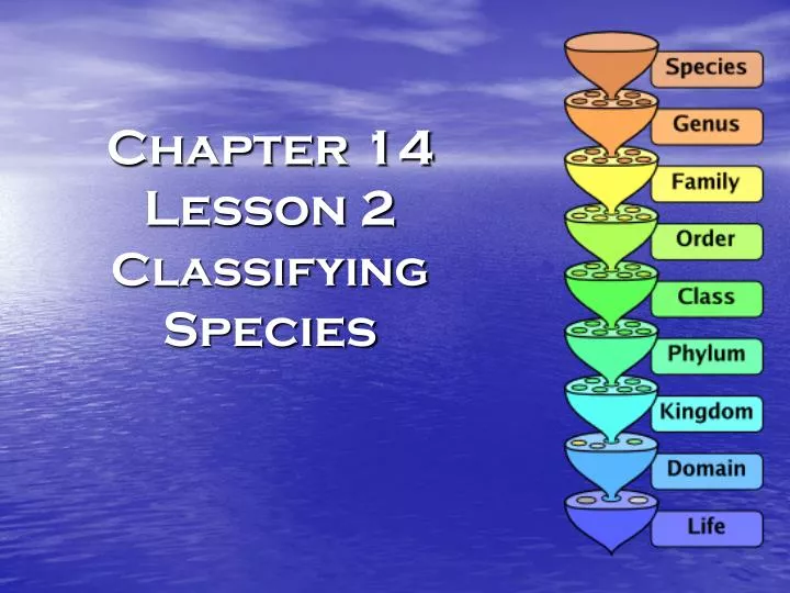 chapter 14 lesson 2 classifying species