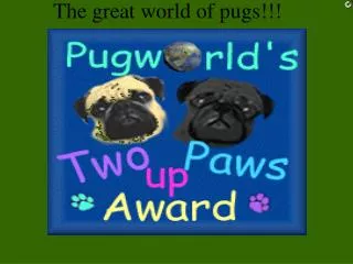 The great world of pugs!!!