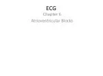 ECG - slide 1