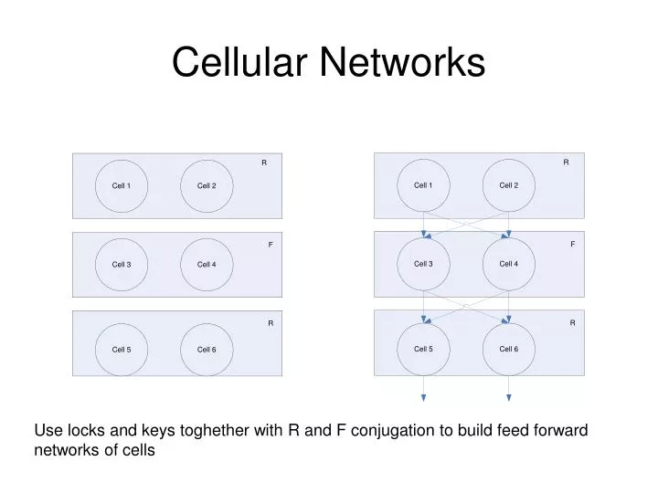 cellular networks