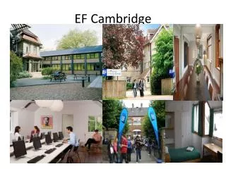EF Cambridge