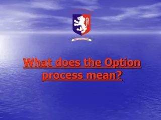 What does the Option process mean?