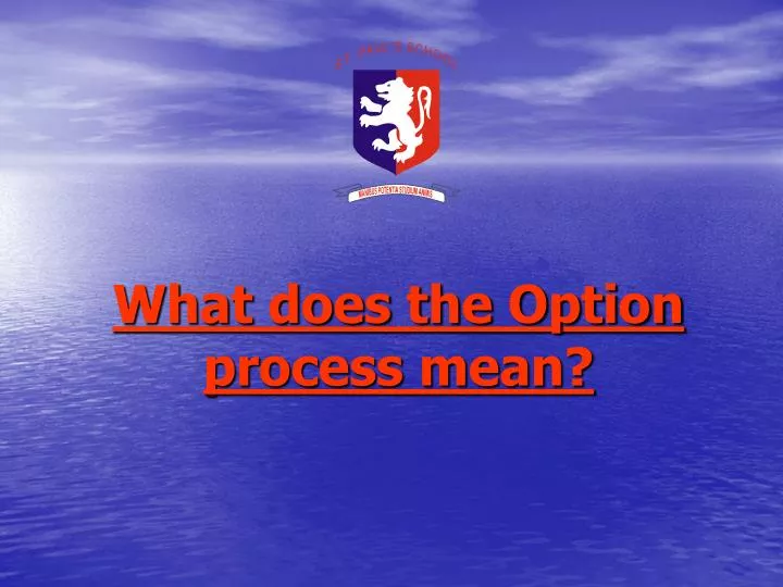 what does the option process mean