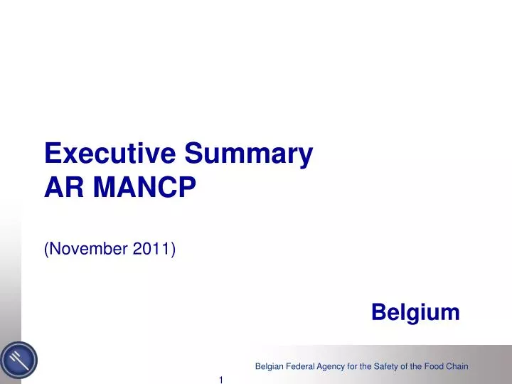 executive summary ar mancp november 2011 belgium