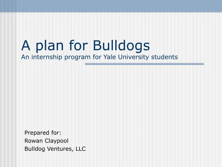 a plan for bulldogs an internship program for yale university students
