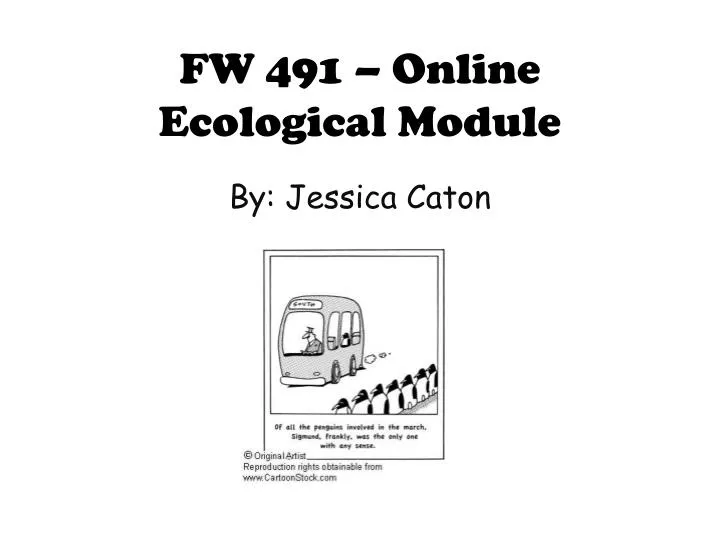 fw 491 online ecological module