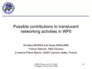 Possible contributions to translucent networking activities in WP5